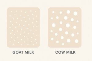 Visual comparison of goat milk vs. cow milk, highlighting differences in fat and protein molecules for easier digestion.
