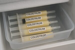 A neat arrangement of small, labeled syringes containing frozen colostrum stored flat in a designated section of a freezer drawer.