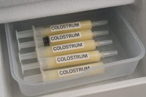 How Do You Store Colostrum