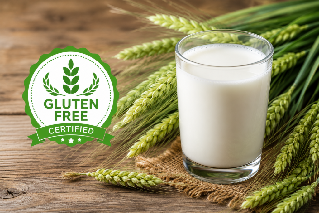 A glass of milk with a gluten free emblem showing safety parameters for celiac patients.